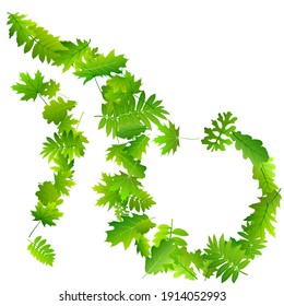 Bush leaves vibrant vector illustration. Herbarium bush foliage macro. Rowan and oak leaves composition. Botanical natural concept. Environmental beautiful vector.