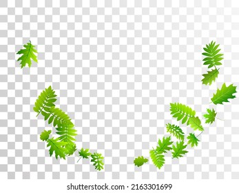 Bush leaves vivid vector backdrop. Tropical bush foliage closeup. Mix of many different leaves pattern. Herbal eco concept. Farm plantation bright vector.