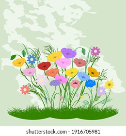 Bush of multicolored wildflowers, poppies, chamomile, abstract background - vector. Spring motive.
