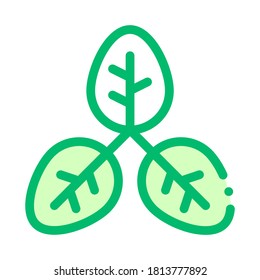 Bush Offshoot Plant Leaves Vector Thin Line Icon. Organic Cosmetic, Natural Component Plant Leaf Linear Pictogram. Eco-friendly, Cruelty-free Product, Molecular Analysis Contour Illustration