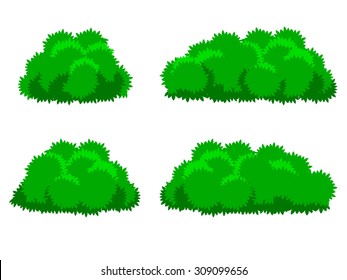 bush plant cartoon 