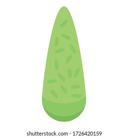 Bush plant icon. Isometric of bush plant vector icon for web design isolated on white background