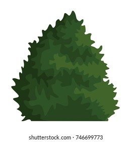 Bush plant isolated