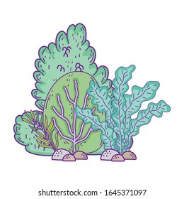 bush plant leaves foliage vegetation rocks botanical on white background vector illustration
