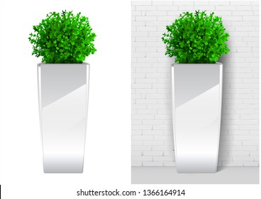 Bush plant in modern white pot. Decorative evergreen plant in a garden pot in vector graphics on a white background