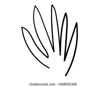 bush plant vector hand drawing element doodle