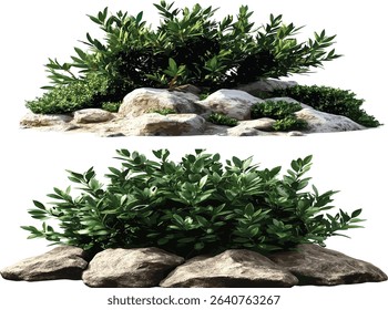 Bush plantation with boulders, isolated environmentally friendly plants, sustainable plantation, nature landscape, green bushes, eco friendly environment, natural outdoor greenery