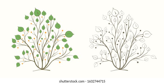 Bush plants with branches leaves and berries in two versions, color and black and white