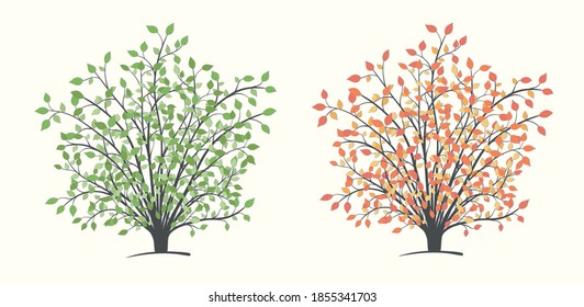 Bush plants in two versions, summer with green and autumn with red leaves on a light background