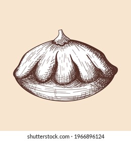 Icono de calabaza de Bush. Diseño de esbozos dibujados a mano. Ilustración vectorial.