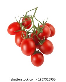 Bush of red cherry tomatoes on a white background. 3d vector illustration