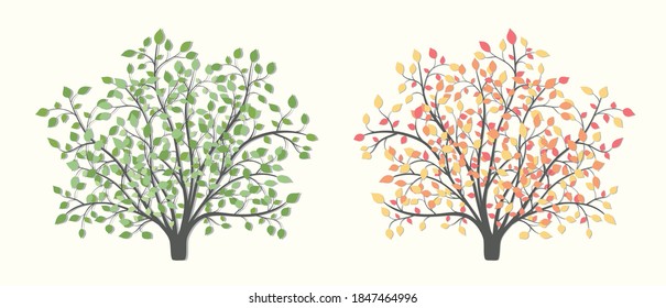 Bush with red and green leaves in two versions summer and autumn on a light background