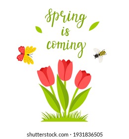 A bush of red tulips and a calligraphic inscription-Spring is coming. Hand lettering. The concept of a spring, summer cover with a botanical illustration in a cartoon flat style, isolated on white