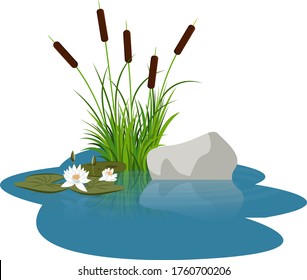 Bush ernährt sich von Wasserlilie-Blumen und lässt sich in der Nähe von Stein auf dem Wasser. Schilfstern und grauer Stein, der mit Wasserrunden im Wasser des Sees reflektiert wird