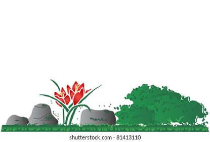 bush with rock and flower