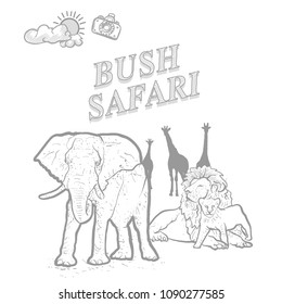 Bush safari travel marketing cover, set of hand drawn a vector drawings.
