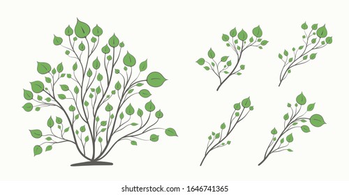 Bush and a set of branches with green leaves of different shapes isolated on a light background
