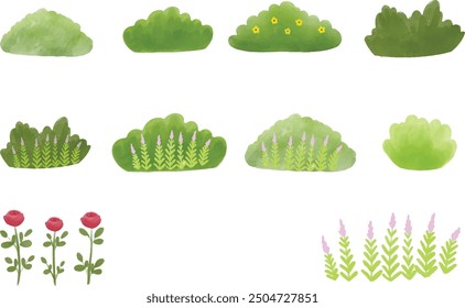 Bush set drawing illustration, vector