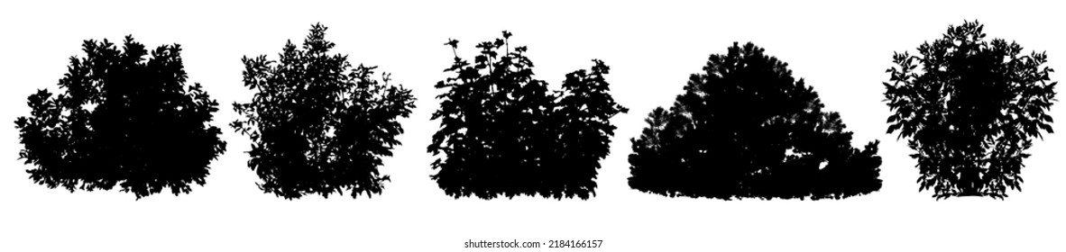 Bush, set of silhouettes. Vector illustration