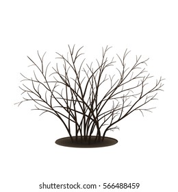 bush with shadow without leaves on white background