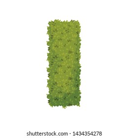 Bush in the shape of a rectangle. View from above. Vector illustration on white background.