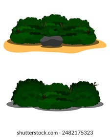bush, shrubs, beach and palm tree at morning and afternoon vector
