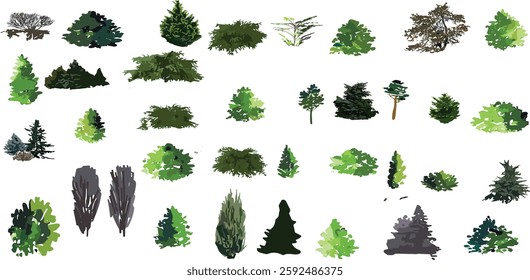 bush, shurb watercolor vector illustration, Minimal style tree painting hand drawn