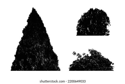 Bush Silhouette Black Vector Illustration