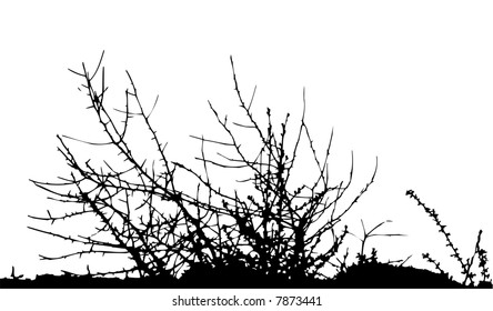 arbusto / silueta / vector Idealmente para su uso