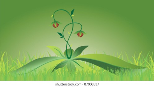 bush of strawberries in the grass