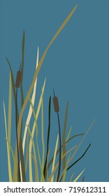 Bush of Swamp Reed on a Lake. vector Illustration