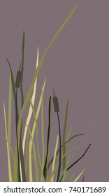 Bush of Swamp Reed on a Lake. Vector Illustration.