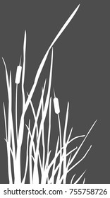 Bush of Swamp Reed on a Lake. vector Illustration