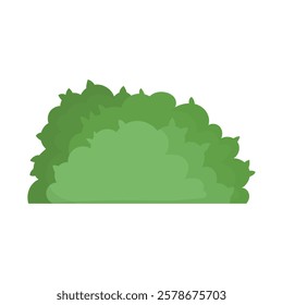 Bush Vector Illustration - 01