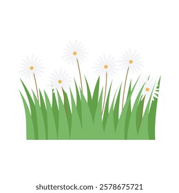 Bush Vector Illustration - 05