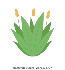 Bush Vector Illustration - 06