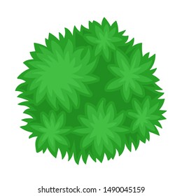 Bush. View from above. Vector illustration on a white background.