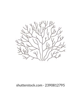 Bush sin hojas de estilo plano, ilustración vectorial aislada en fondo blanco. Elementos decorativos sencillos, líneas, planta orgánica natural. Medio ambiente
