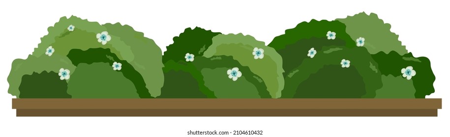 Bush en una caja de madera. Ilustración vectorial plana aislada en fondo blanco.
