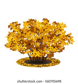 bush with yellow leaves and shadow on white background