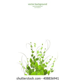 bush,dense foliage on a white background, vector