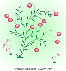 Bushes with berries and flowers of a cranberry. Vector. eps 8