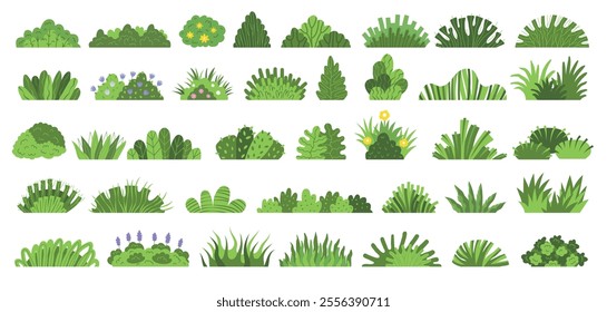 Bushes. Botanical illustrations of decorative bushes recent vector floral set in flat style