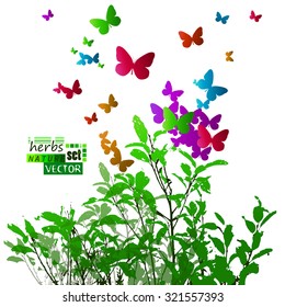 bushes with butterflies. Vector