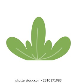 Bushes and Grass Illustration. Simple abstract floral flat cartoon vector illustration. Garden green plant isolated on white background. Eco element