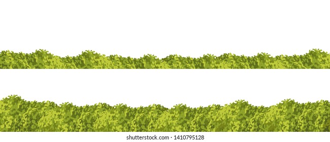 Bushes of grass. Ornamental shrubs. Green fence.
