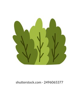 Bushes isolated on a white background. Vector hand-drawn illustration in a flat style. Perfect for cards, decorations, logo, various designs.