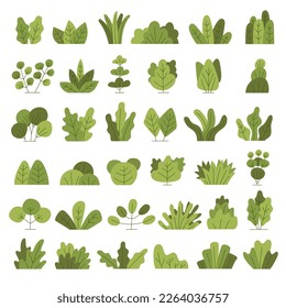Bushes. Leaves grass trees recent vector gardening illustrations creation kit bushes
