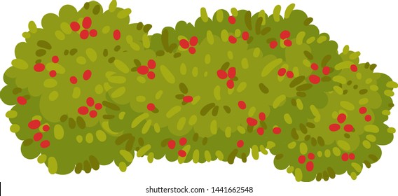 Bushes in line with jagged edges. View from above. Vector illustration on white background.