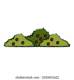 Bushes nature symbol
